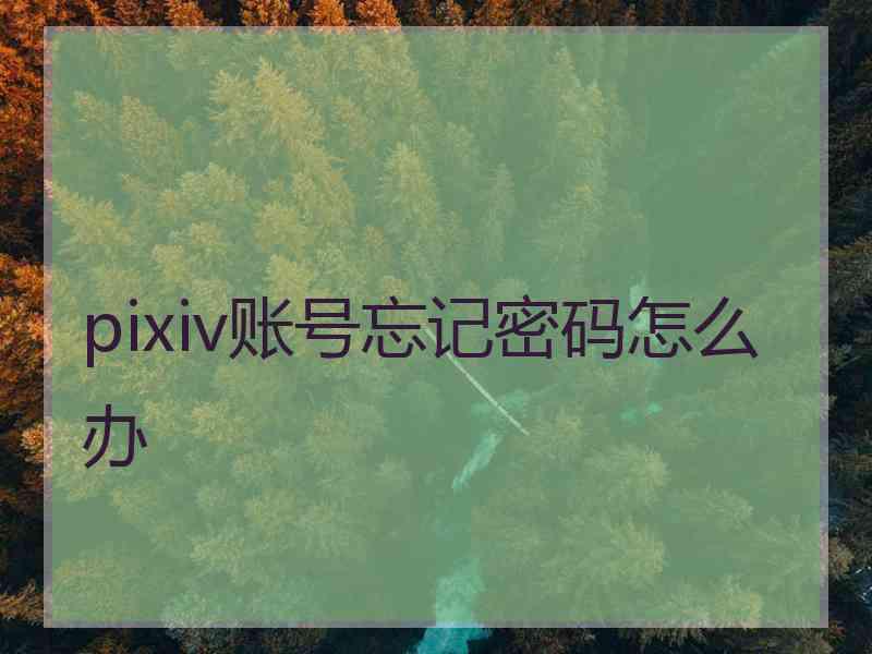 pixiv账号忘记密码怎么办