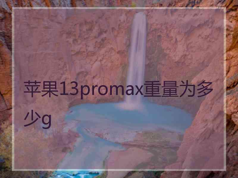 苹果13promax重量为多少g