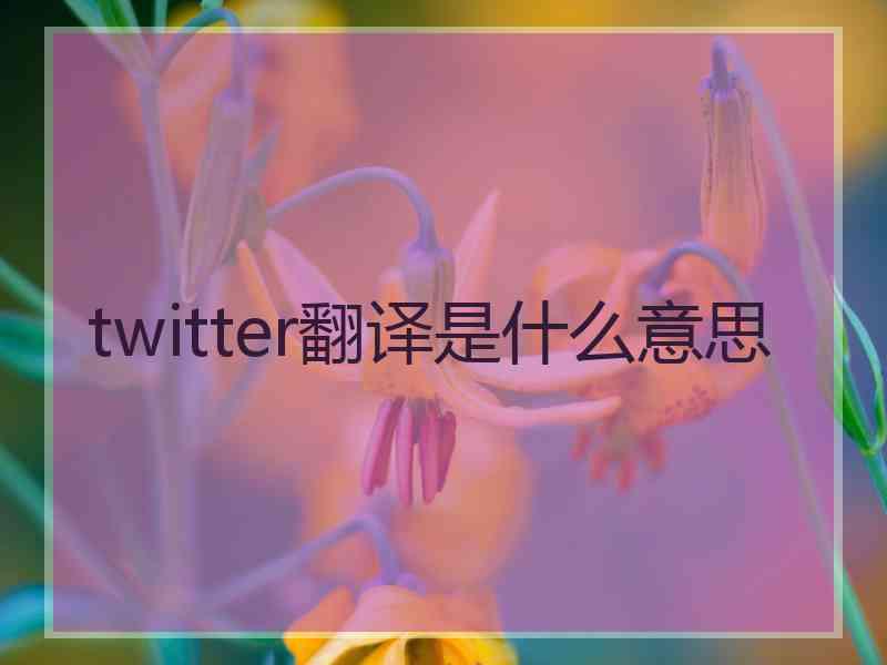 twitter翻译是什么意思