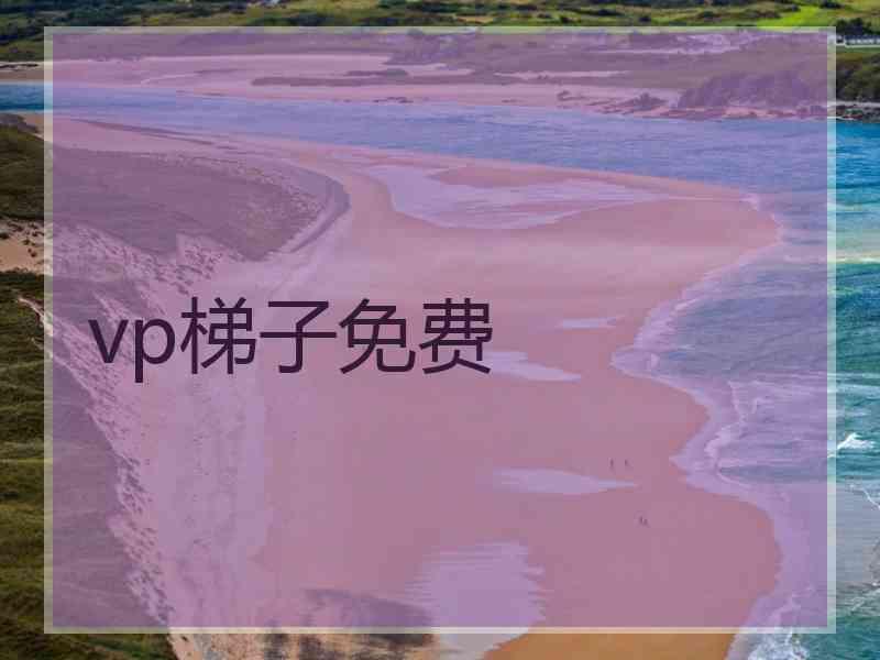 vp梯子免费