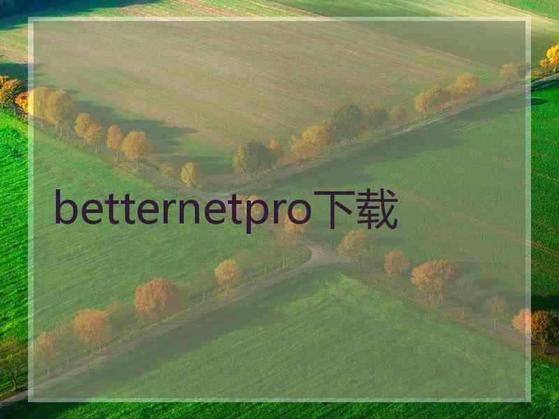 betternetpro下载