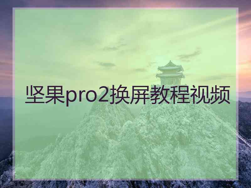 坚果pro2换屏教程视频