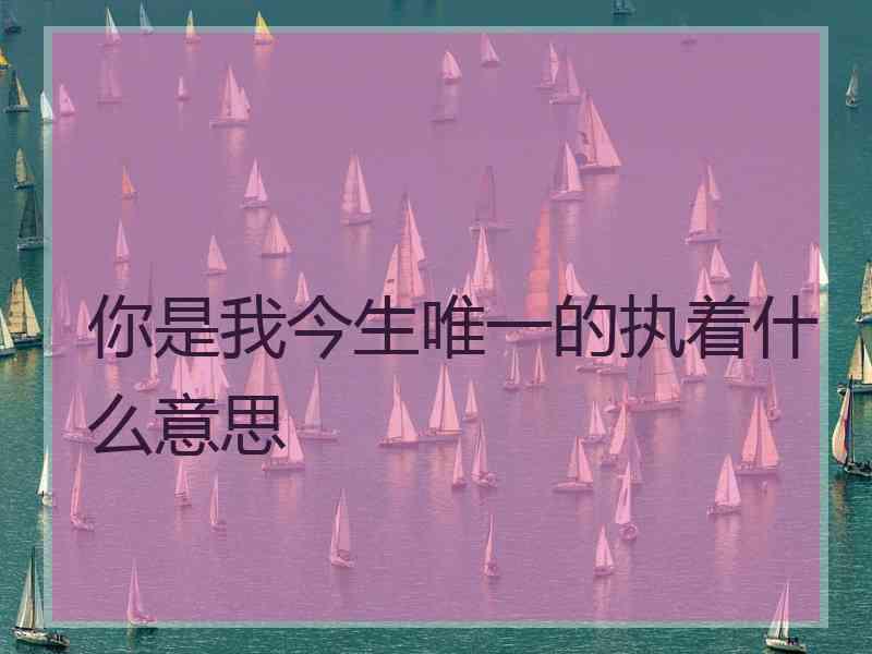 你是我今生唯一的执着什么意思