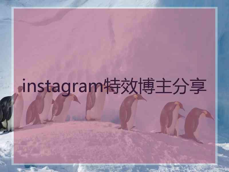 instagram特效博主分享