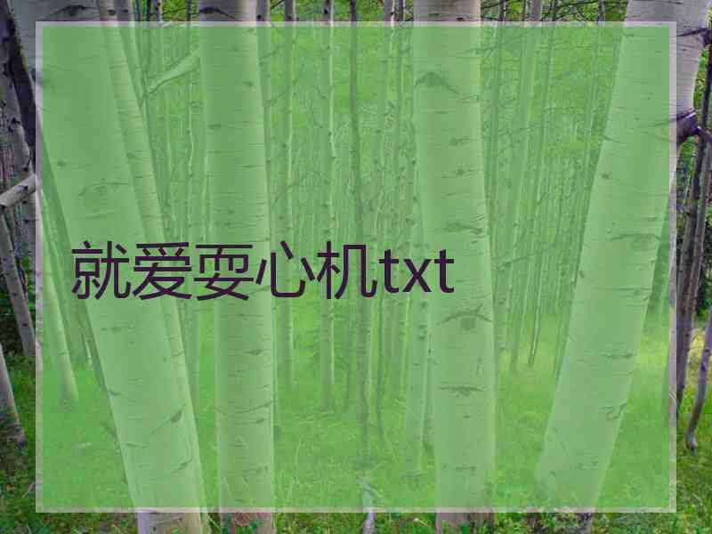 就爱耍心机txt