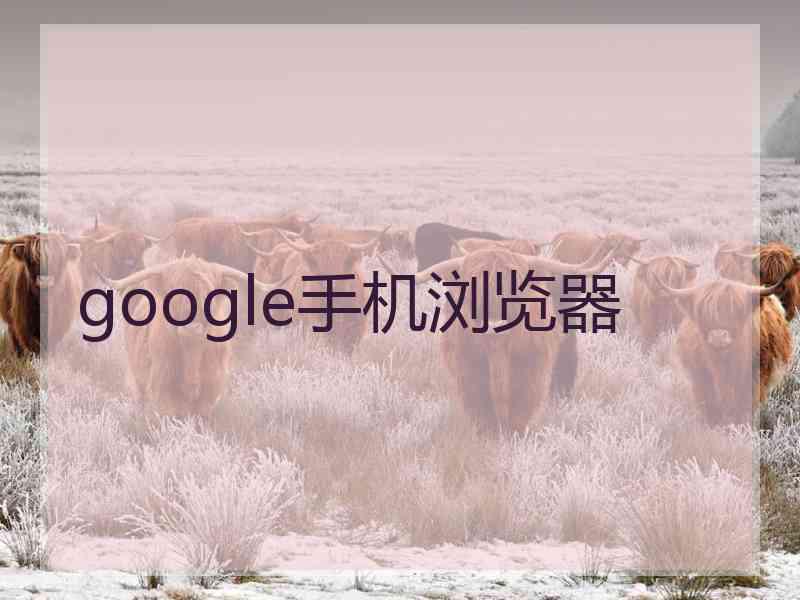 google手机浏览器