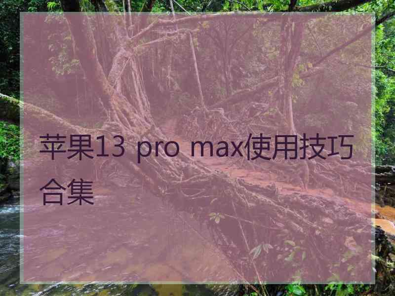 苹果13 pro max使用技巧合集