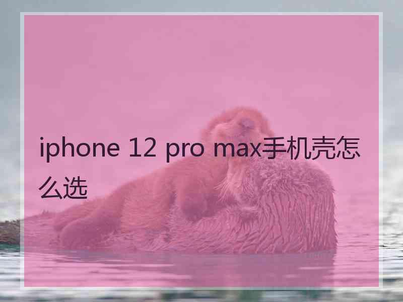 iphone 12 pro max手机壳怎么选