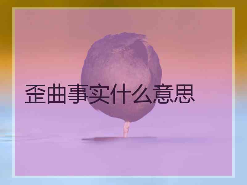 歪曲事实什么意思