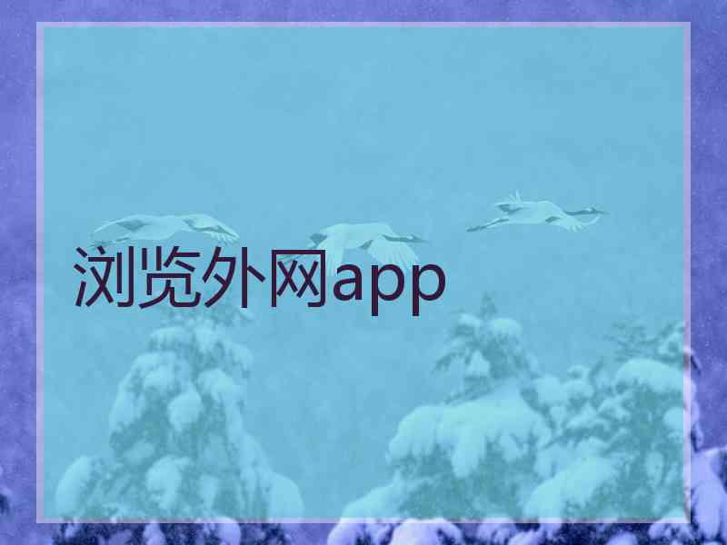 浏览外网app