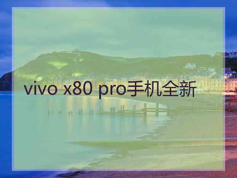 vivo x80 pro手机全新