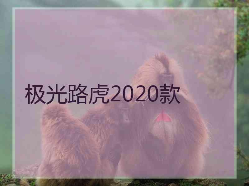 极光路虎2020款