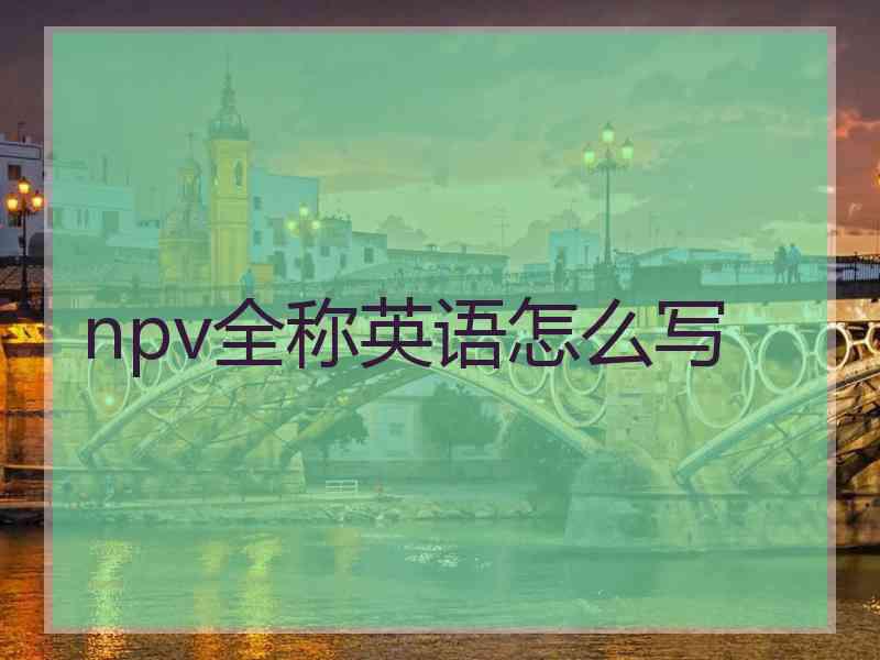 npv全称英语怎么写