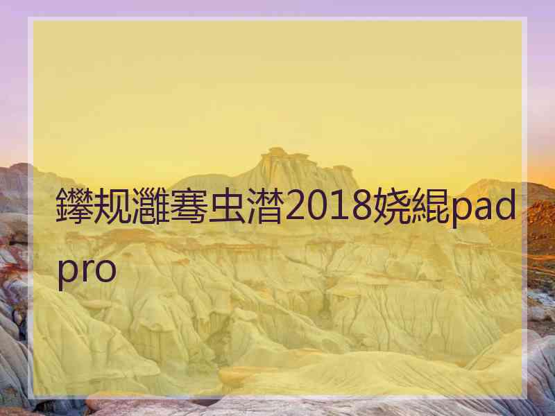 鑻规灉骞虫澘2018娆緄pad pro