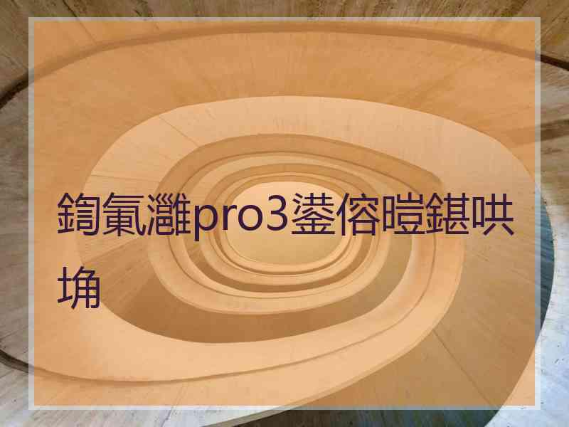 鍧氭灉pro3鍙傛暟鍖哄埆