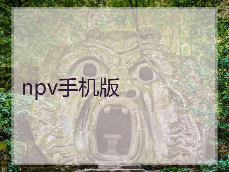 npv手机版