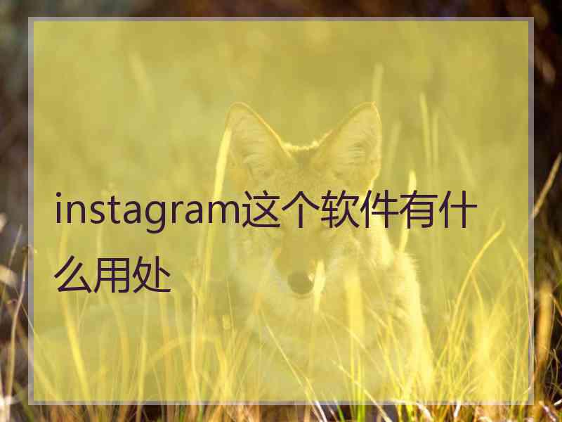 instagram这个软件有什么用处