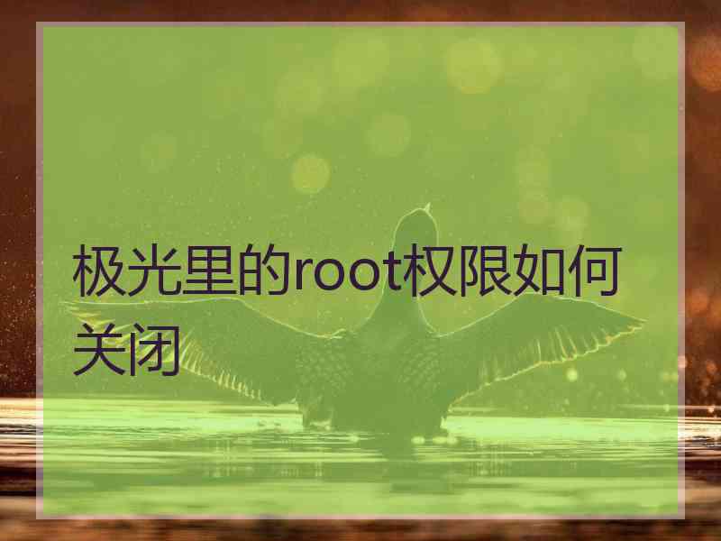 极光里的root权限如何关闭