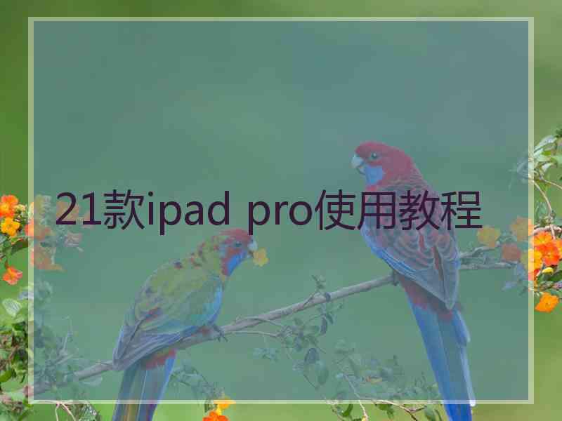 21款ipad pro使用教程