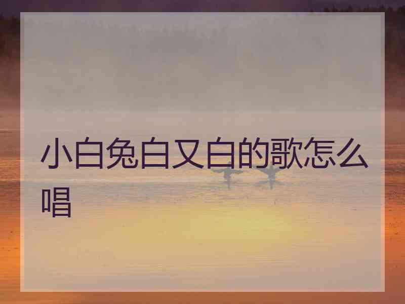 小白兔白又白的歌怎么唱