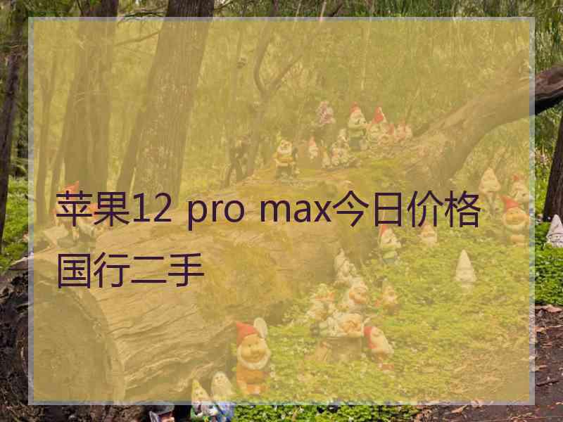 苹果12 pro max今日价格国行二手