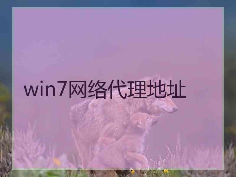 win7网络代理地址