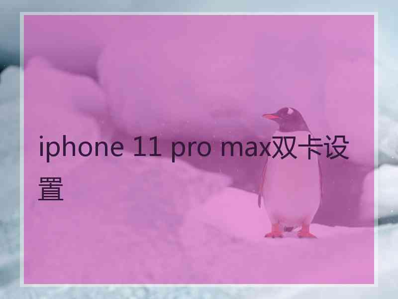 iphone 11 pro max双卡设置