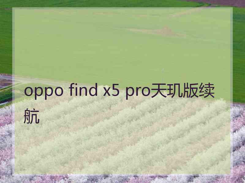 oppo find x5 pro天玑版续航