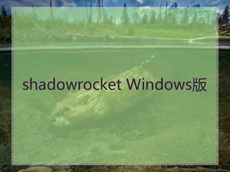 shadowrocket Windows版