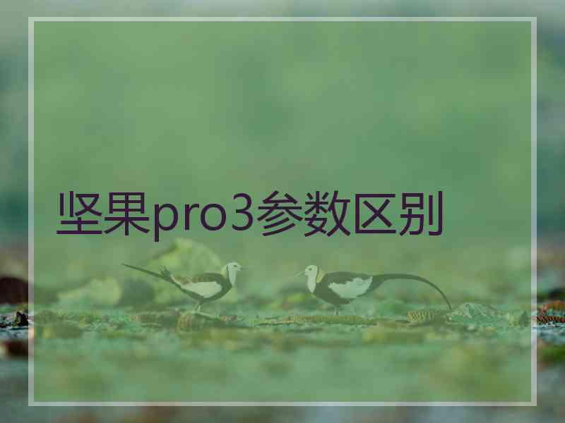 坚果pro3参数区别