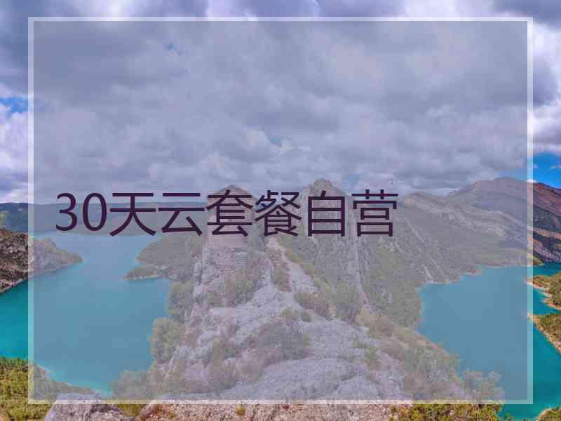 30天云套餐自营