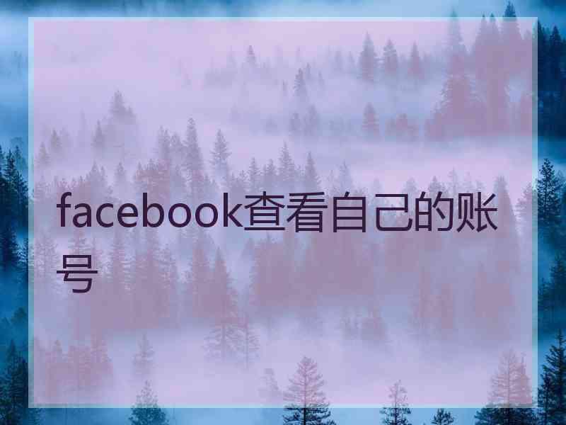 facebook查看自己的账号