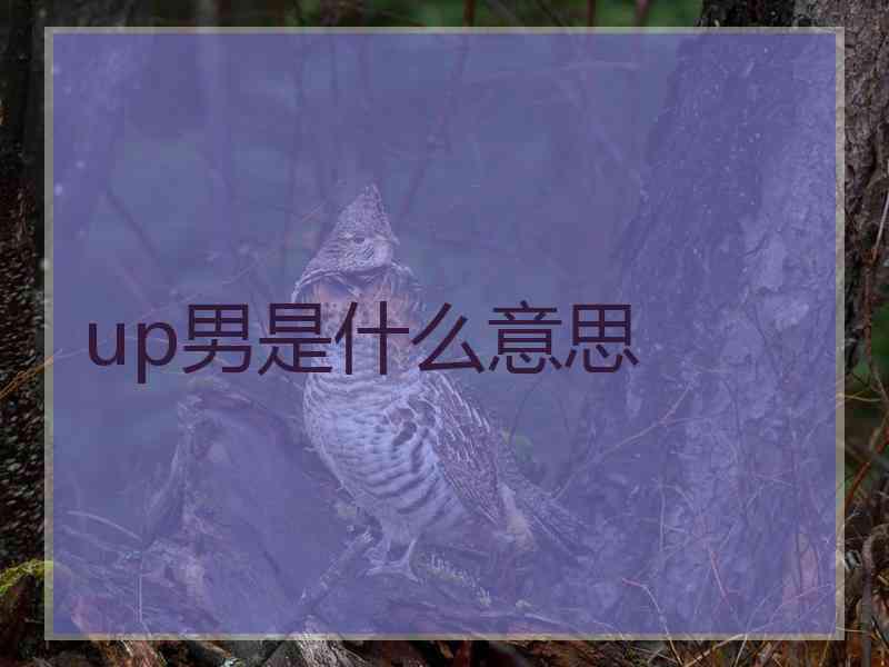 up男是什么意思