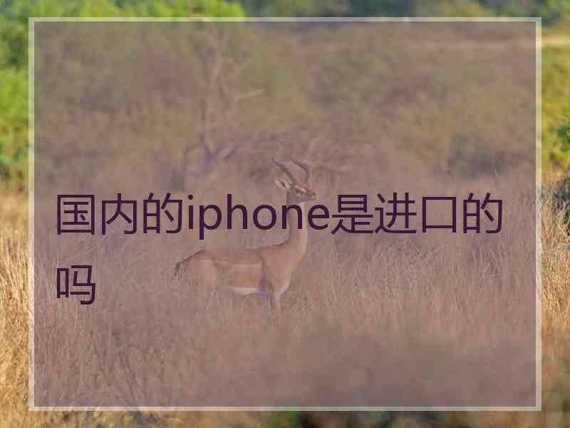 国内的iphone是进口的吗