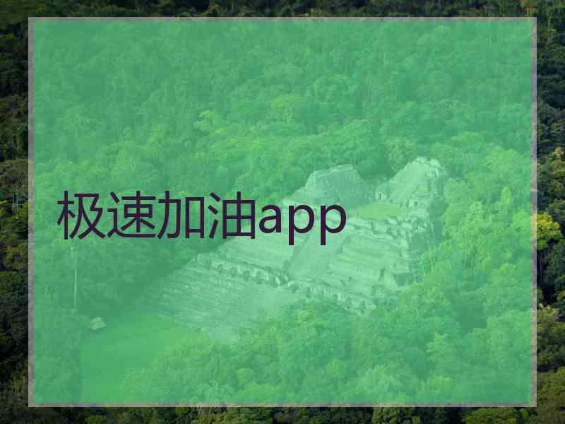 极速加油app