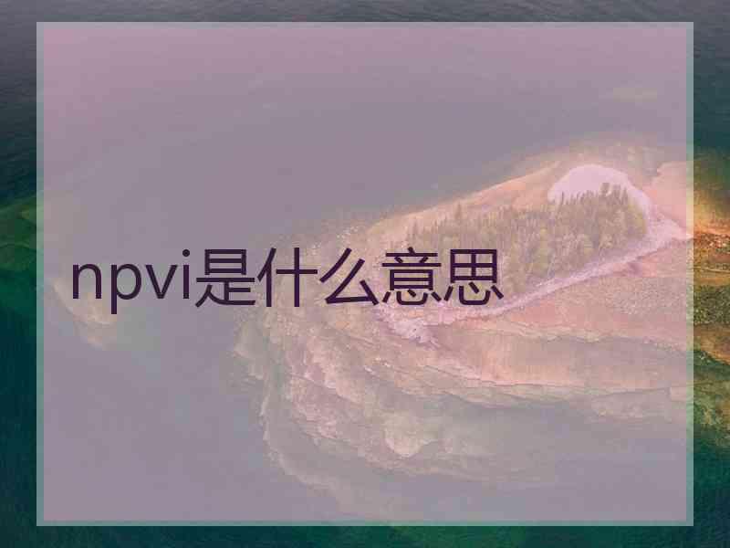 npvi是什么意思