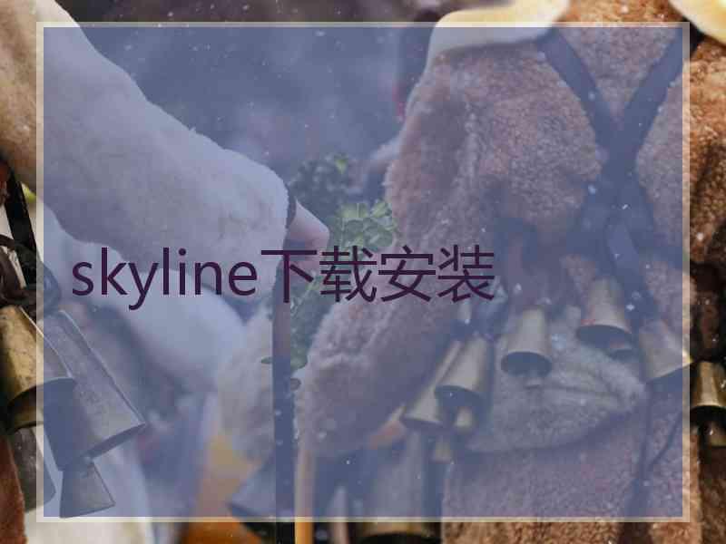 skyline下载安装