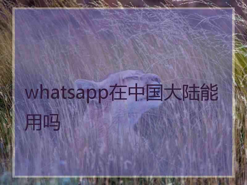 whatsapp在中国大陆能用吗