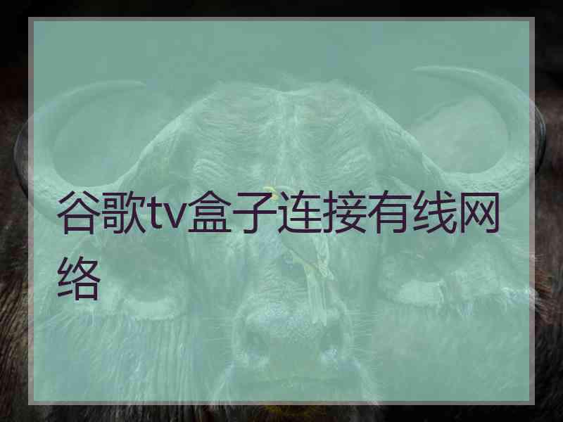 谷歌tv盒子连接有线网络