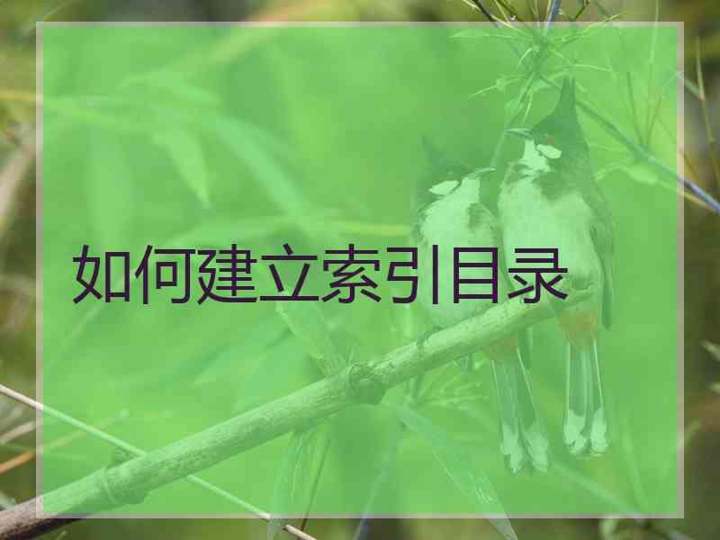 如何建立索引目录