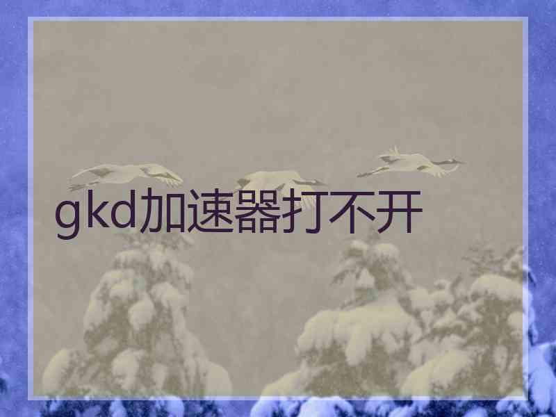 gkd加速器打不开