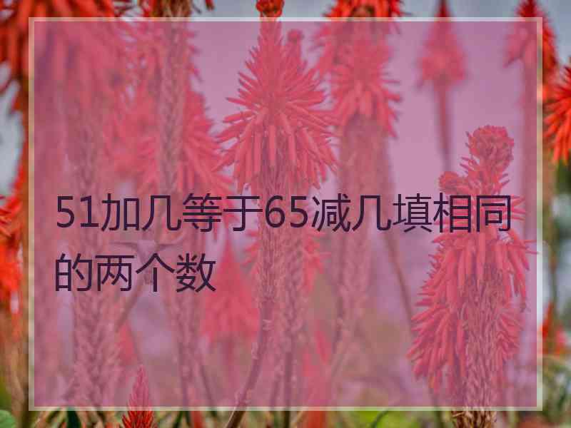 51加几等于65减几填相同的两个数