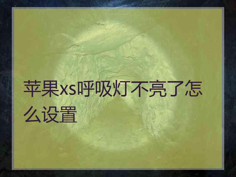 苹果xs呼吸灯不亮了怎么设置