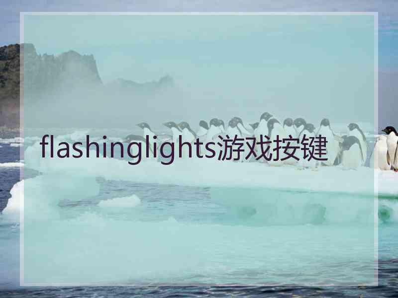 flashinglights游戏按键