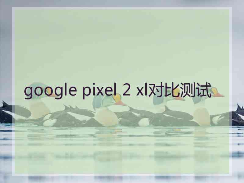 google pixel 2 xl对比测试