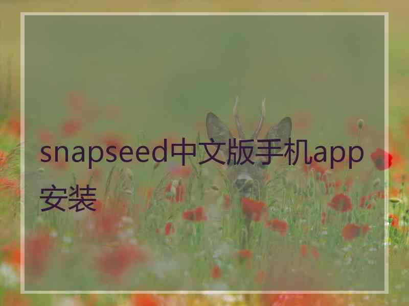 snapseed中文版手机app安装