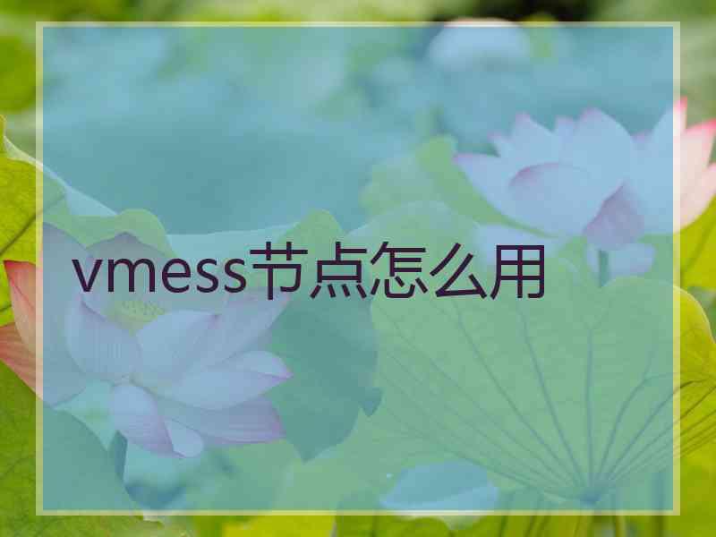 vmess节点怎么用