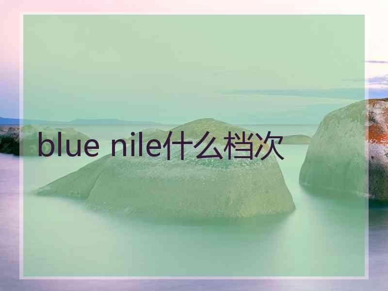 blue nile什么档次