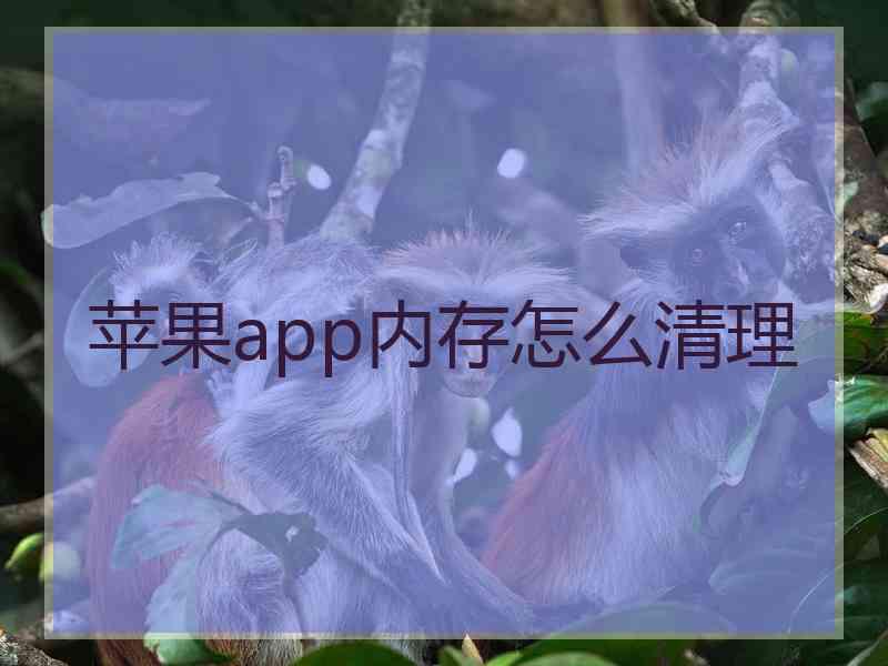 苹果app内存怎么清理