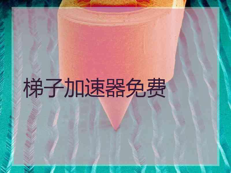 梯子加速器免费